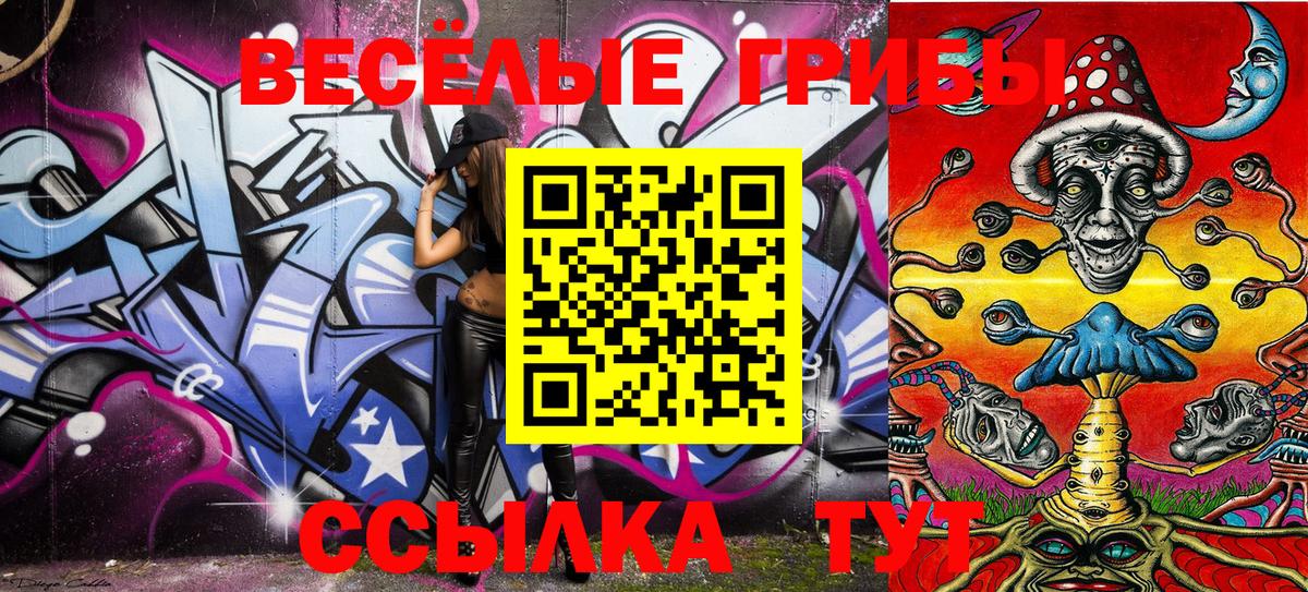 Псилоцибиновые грибы GOLDEN TEACHER Нальчик